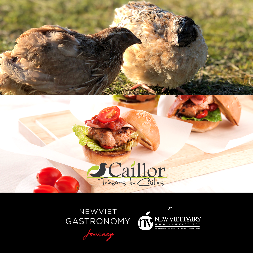 CAILLOR – QUAILS FORM FRANCE AT “THE NEW VIET GASTRONOMY JOURNEY”